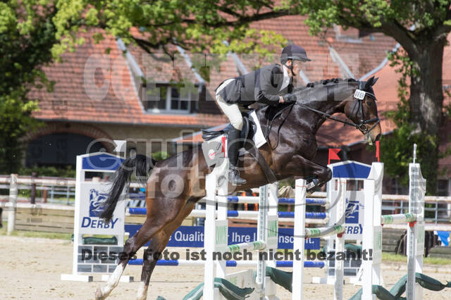 Sterne über Münster 2019 - CCI***S