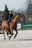 Trainingsturnier Langenfeld (12.+13.03.2022)