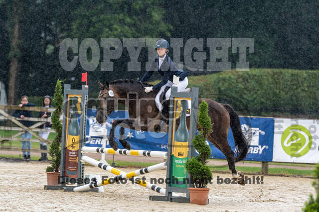 Goldene Schärpe 2021 - Ponys