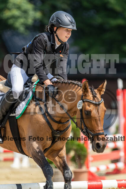 Goldene Schärpe 2021 - Ponys