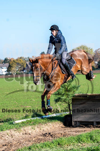 Vielseitigkeitslehrgang mit Jürg Kurbel (9.+10.11.2019)