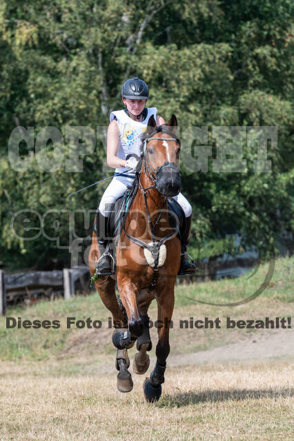 Late-Entry Vielseitigkeit Hamminkeln/Wesel (01.+02.08.2020)