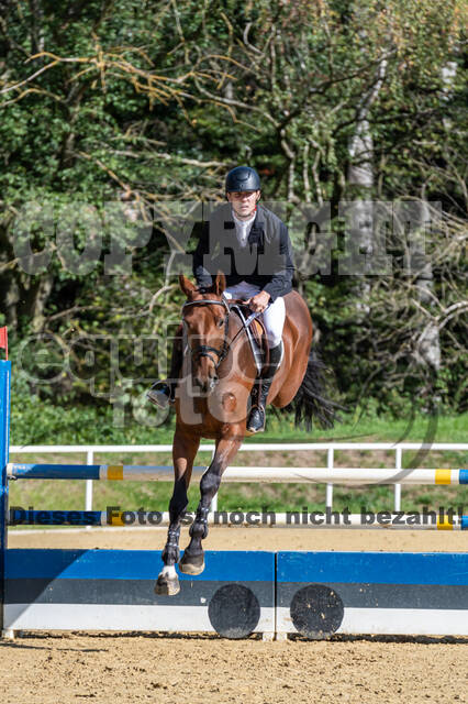 RFV Dinslaken-Hiesfeld (Herbstturnier)