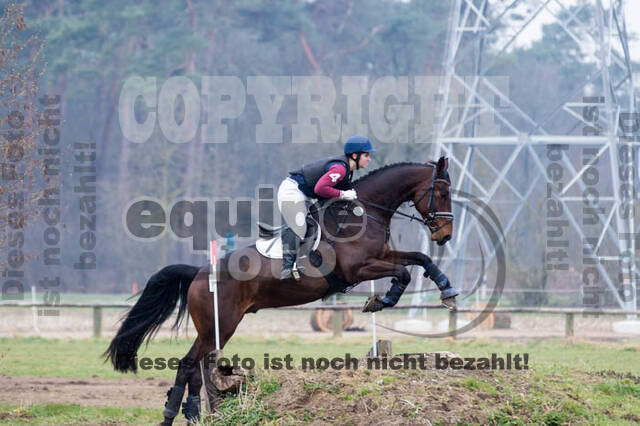 Jungpferdetag Hamminkeln