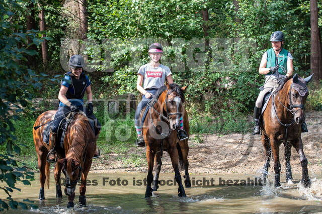 Hunter Geländetraining (16.08.2020)