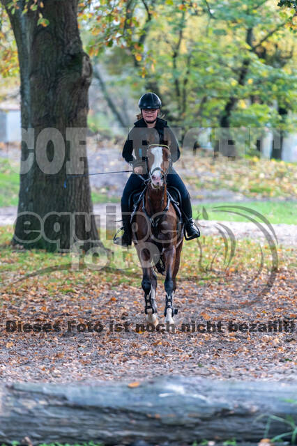IGV Lehrgang der Sieger der Cups mit Frank Ostholt