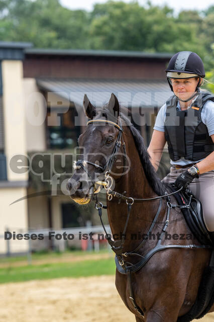 Hunter Geländetraining 10.07.2021 (Sonsbeck)