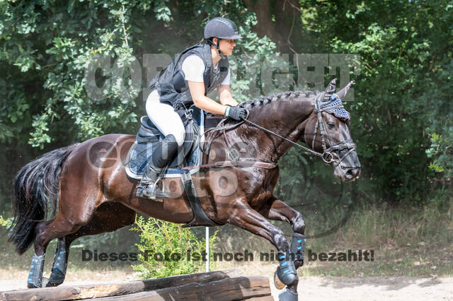 Late-Entry-Vielseitigkeit Langenfeld (11.+13./14.06.2020)