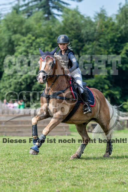 Goldene Schärpe 2021 - Ponys