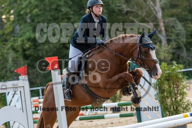 RFV Dinslaken-Hiesfeld (Herbstturnier)