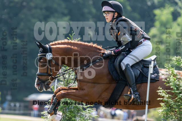 Goldene Schärpe 2021 - Ponys