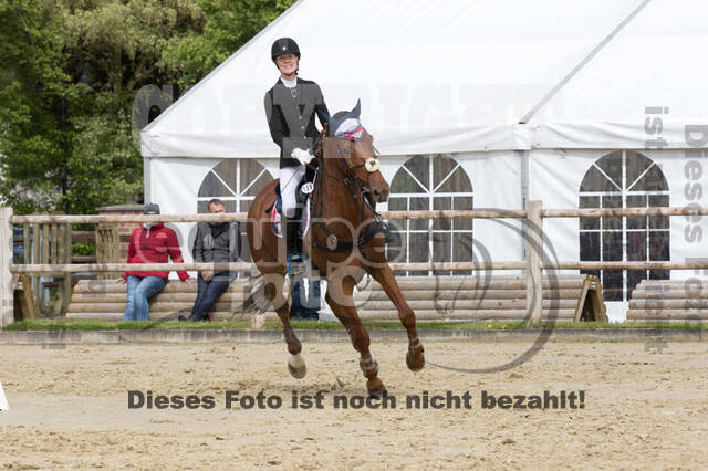 Sterne über Münster 2019 - CCI***S
