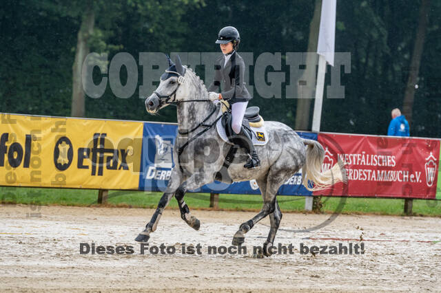 Goldene Schärpe 2021 - Ponys