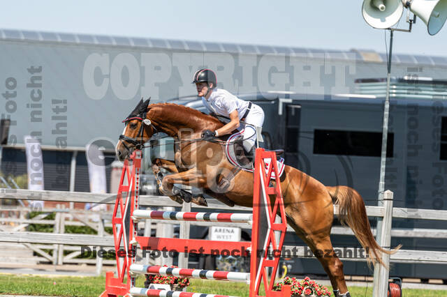 Kronenberg - De Peelbergen (August 2020)