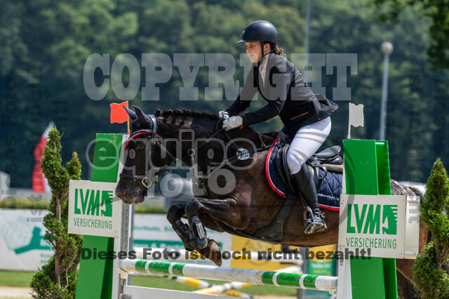 Goldene Schärpe 2021 - Ponys
