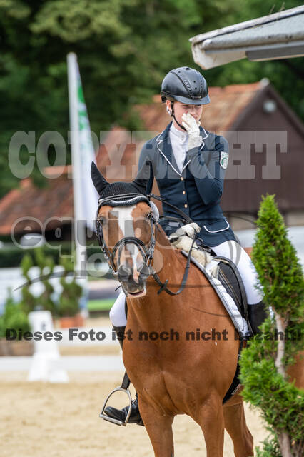 Goldene Schärpe 2021 - Ponys