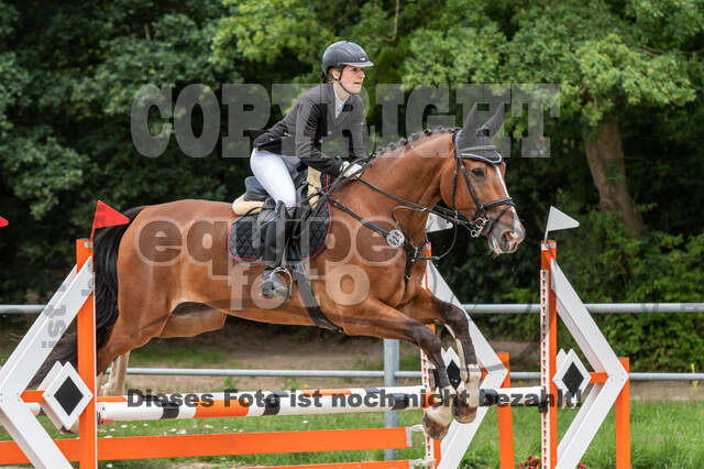 Late-Entry-Vielseitigkeit Langenfeld (06.+07.07.2020)