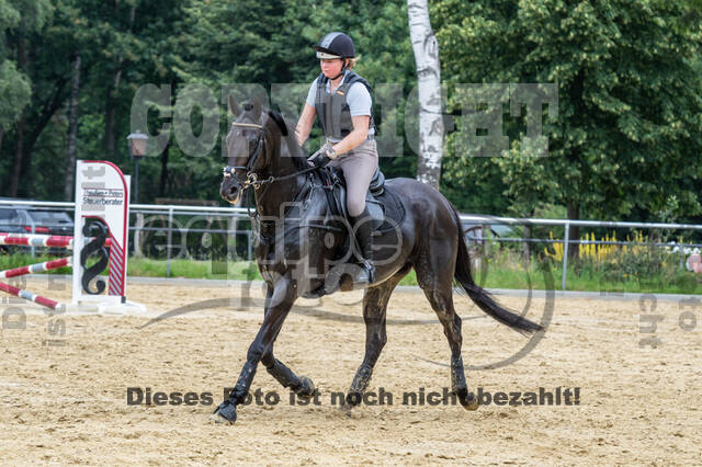 Hunter Geländetraining 10.07.2021 (Sonsbeck)