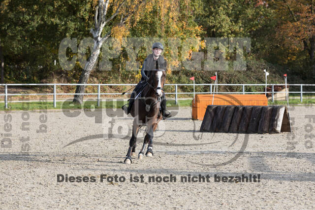 IGV Lehrgang der Sieger der Cups mit Frank Ostholt