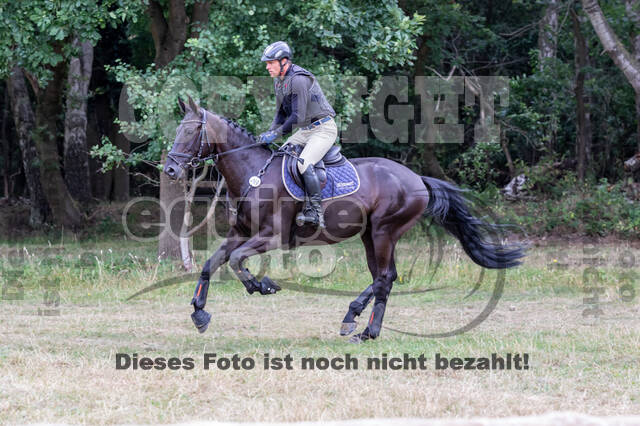 Late-Entry Vielseitigkeit Hamminkeln/Wesel (01.+02.08.2020)