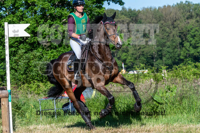 Westerstede Horse Trials (10.-13.06.2021)