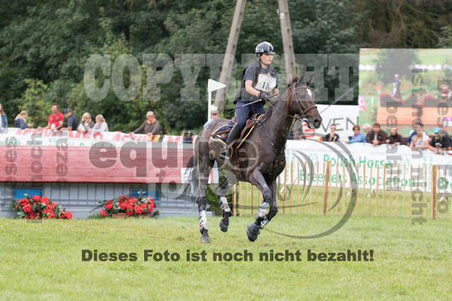 FEI European Championship