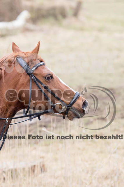 Geländetraining RSV St. Hubertus Wesel Obrighoven
