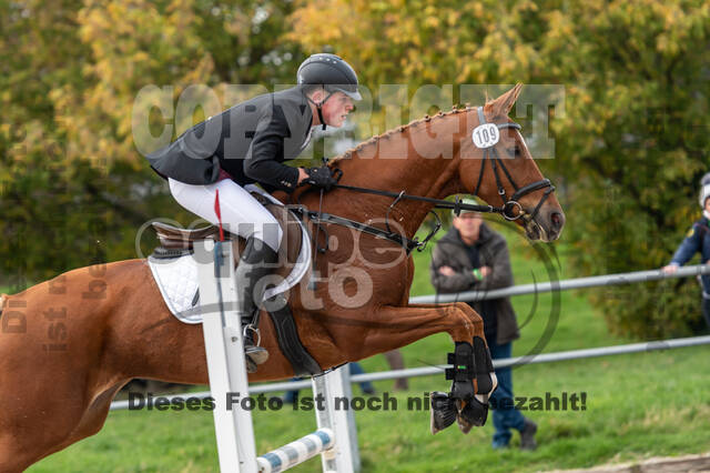 Goldene Schärpe 2020 - Pferde