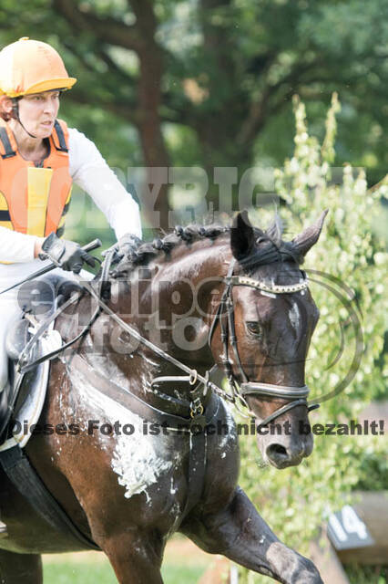 RFV Bad Honnef