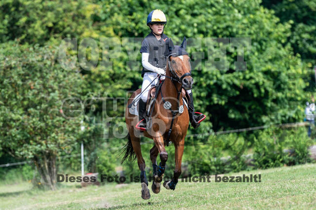 Goldene Schärpe 2021 - Ponys