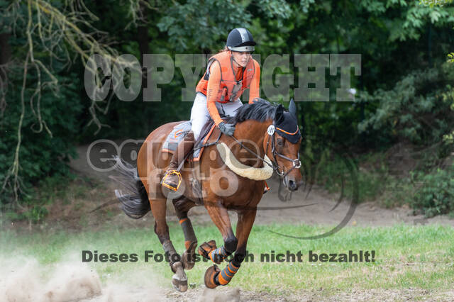 Late-Entry-Vielseitigkeit Langenfeld (11.+13./14.06.2020)
