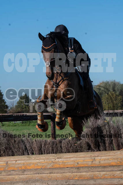 Vielseitigkeitslehrgang mit Jürg Kurbel (9.+10.11.2019)