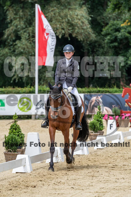 Goldene Schärpe 2021 - Ponys