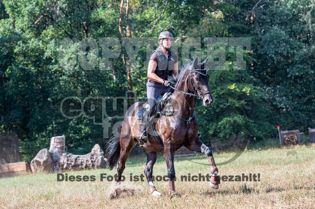 Hunter Geländetraining (16.08.2020)