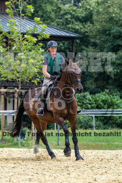 Hunter Geländetraining 10.07.2021 (Sonsbeck)