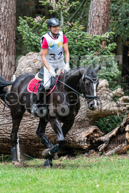 Vielseitigkeit RSV Wesel Obrighoven (26.+27.09.2020)