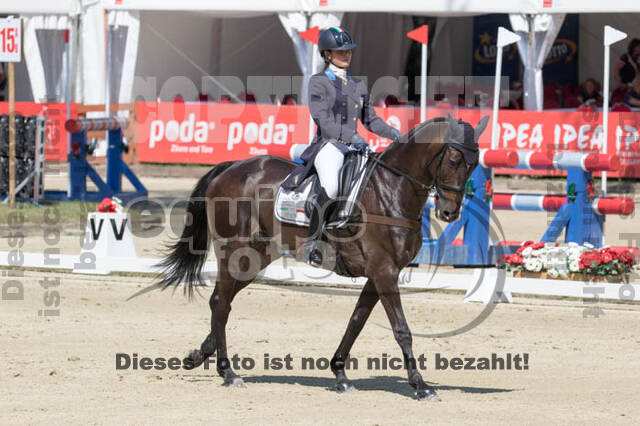 FEI European Championship
