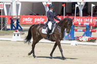 FEI European Championship