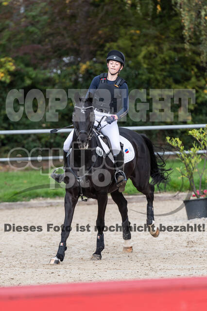 Reiter Schleswig-Holstein