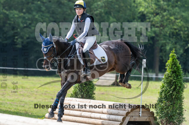 Goldene Schärpe 2021 - Ponys