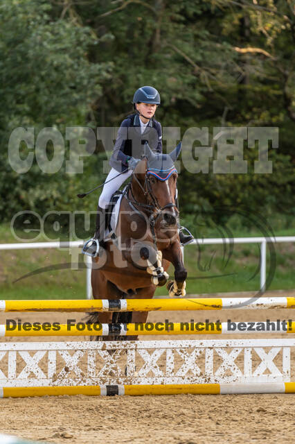 RFV Dinslaken-Hiesfeld (Herbstturnier)