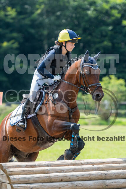 Goldene Schärpe 2021 - Ponys