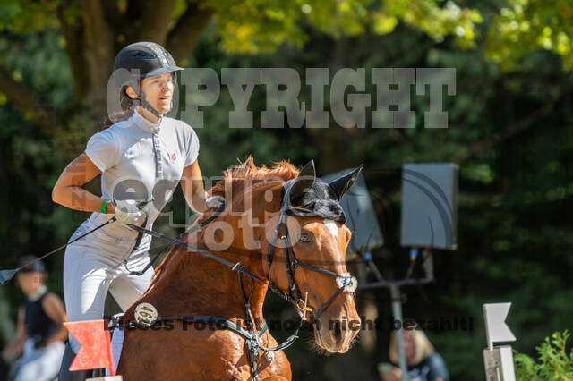 RFV Dinslaken-Hiesfeld (Herbstturnier)
