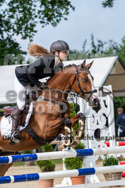 Goldene Schärpe 2021 - Ponys