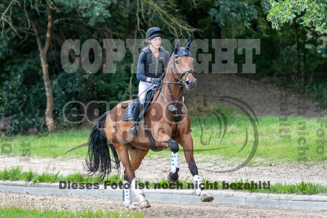 Late-Entry-Vielseitigkeit Langenfeld (06.+07.07.2020)