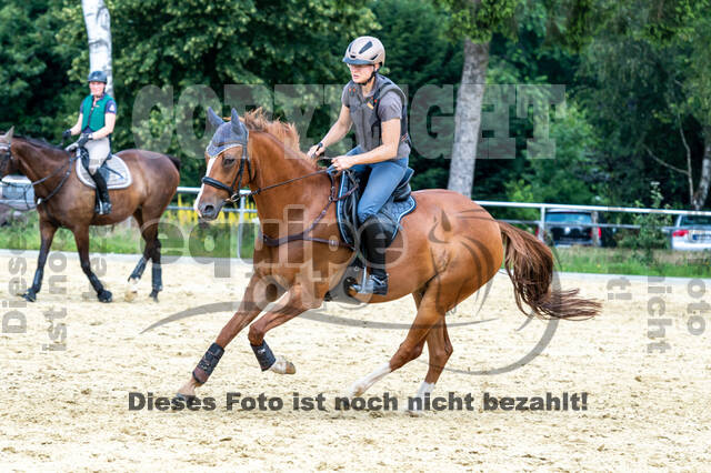 Hunter Geländetraining 10.07.2021 (Sonsbeck)