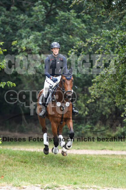 Late-Entry-Vielseitigkeit Langenfeld (11.+13./14.06.2020)