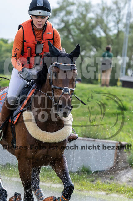 Late-Entry-Vielseitigkeit Langenfeld (06.+07.07.2020)