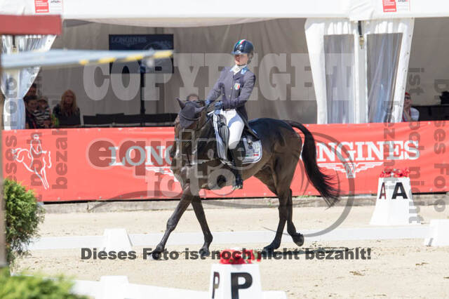 FEI European Championship
