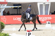 FEI European Championship